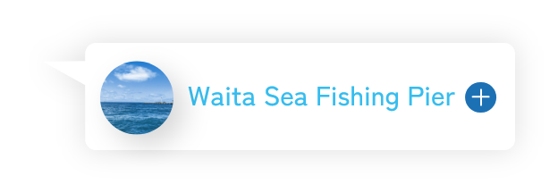 Waita Sea Fishing Pier